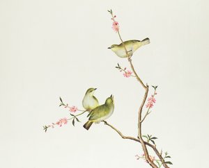 白目鳥、チエンルン時代（1736-1796）（紙の色）